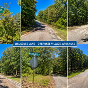 1.34 acre residential lot nestled near Hwy 175 and the serene shores of Lake Omaha, perfectly primed for constructing your dream home or placing a charming mobile home. Cherokee Village- Utilities at the property and road frontage: APN: 390-20828-000