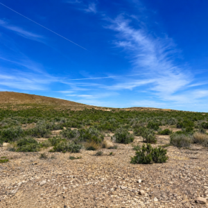 34 Acres in Beautiful Eureka, Nevada! Professionally surveyed and ready for your dream home, private getaway, or investment. Enjoy mountain views, wide-open space, and endless Nevada skies APN: 005-460-06