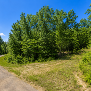 Discover the Lake Chanute Lifestyle in the Beautiful Arkansas Ozarks!  Residential Lot with Utilities and Road Frontage APN: 350-19638-000