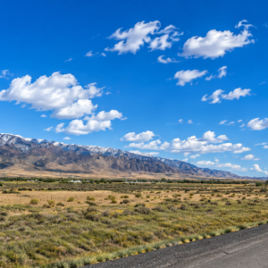 1.50 Acres with Power on the Property | Humboldt River Ranch | Breathtaking Mountain Views! APN: 17120 Polaris Ave., Lovelock, NV 89419