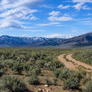 Welcome to your own private frontier 43.18 acres in the heart of Pershing County! Nestled against the rugged foothills of the spectacular Trinity Range, this 43-acre surveyed ranch offers an extraordinary opportunity to own a piece of Nevada's legendary landscape: APN: 002-330-10