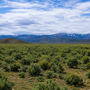 Welcome to your own private frontier 43.18 acres in the heart of Pershing County! Nestled against the rugged foothills of the spectacular Trinity Range, this 43-acre surveyed ranch offers an extraordinary opportunity to own a piece of Nevada's legendary landscape: APN: 002-330-10