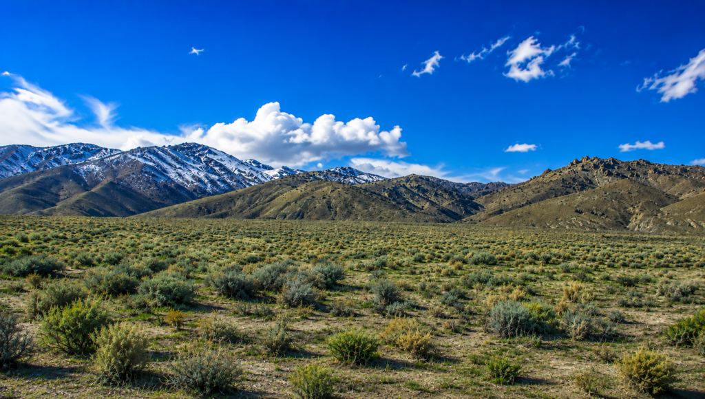 Welcome to your own private frontier in the heart of Pershing County! Nestled against the rugged foothills of the spectacular Trinity Range, this 46.14-acre surveyed ranch offers an extraordinary opportunity to own a piece of Nevada's legendary landscape