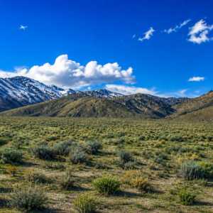 Welcome to your own private frontier 43.18 acres in the heart of Pershing County! Nestled against the rugged foothills of the spectacular Trinity Range, this 43-acre surveyed ranch offers an extraordinary opportunity to own a piece of Nevada's legendary landscape: APN: 002-330-10