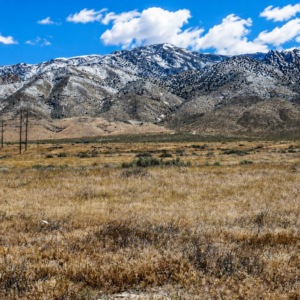 240 Acres of Nevada Opportunity!  Own 240 adjoining acres in Pershing County with excellent frontage along Historic Old U.S. Hwy 40!  Perfect for a private ranch, off-grid retreat, residential development, commercial potential, or long-term investment. With wide-open space, great access, and endless possibilities, this is a rare chance to own a major piece of Nevada.  240 Acres • Highway Frontage • Two Parcels • Huge Potential!