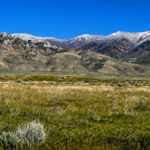 240 Acres of Nevada Opportunity!  Own 240 adjoining acres in Pershing County with excellent frontage along Historic Old U.S. Hwy 40!  Perfect for a private ranch, off-grid retreat, residential development, commercial potential, or long-term investment. With wide-open space, great access, and endless possibilities, this is a rare chance to own a major piece of Nevada.  240 Acres • Highway Frontage • Two Parcels • Huge Potential!