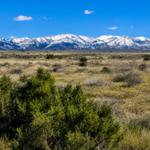 240 Acres of Nevada Opportunity!  Own 240 adjoining acres in Pershing County with excellent frontage along Historic Old U.S. Hwy 40!  Perfect for a private ranch, off-grid retreat, residential development, commercial potential, or long-term investment. With wide-open space, great access, and endless possibilities, this is a rare chance to own a major piece of Nevada.  240 Acres • Highway Frontage • Two Parcels • Huge Potential!