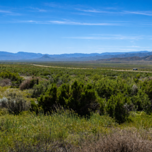 240 Acres of Nevada Opportunity!  Own 240 adjoining acres in Pershing County with excellent frontage along Historic Old U.S. Hwy 40!  Perfect for a private ranch, off-grid retreat, residential development, commercial potential, or long-term investment. With wide-open space, great access, and endless possibilities, this is a rare chance to own a major piece of Nevada.  240 Acres • Highway Frontage • Two Parcels • Huge Potential!