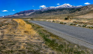 240 Acres of Nevada Opportunity!  Own 240 adjoining acres in Pershing County with excellent frontage along Historic Old U.S. Hwy 40!  Perfect for a private ranch, off-grid retreat, residential development, commercial potential, or long-term investment. With wide-open space, great access, and endless possibilities, this is a rare chance to own a major piece of Nevada.  240 Acres • Highway Frontage • Two Parcels • Huge Potential!