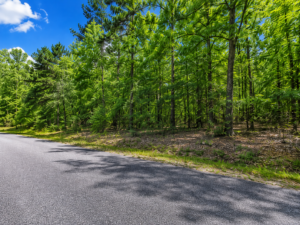 Time to Camp and RV! Discover the Lake Chanute Lifestyle in the Beautiful Arkansas Ozarks!  Residential Lot with Utilities and Road Frontage APN: 350-19638-000
