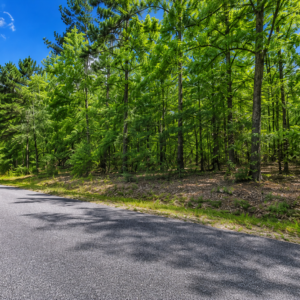 DISCOVER GREERS FERRY LAKE PROPERTY WITH UTILITEIS IN VAN BUREN ARKANSAS!  Crystal-Clear Water • Ozark Scenery • Endless Adventure  Welcome to Greers Ferry Lake, one of Arkansas’s most beautiful outdoor destinations. Known for its clear blue water, scenic shoreline, wooded hills, and year-round recreation, the lake is perfect for boating, fishing, swimming, kayaking, hiking, camping, and relaxing by the water.  APN: 4050-11310-0000