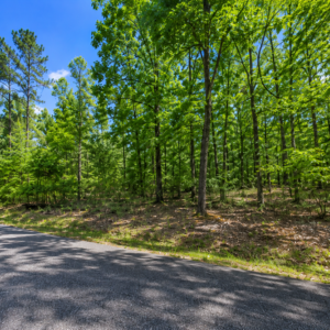 DISCOVER GREERS FERRY LAKE PROPERTY WITH UTILITEIS IN VAN BUREN ARKANSAS!  Crystal-Clear Water • Ozark Scenery • Endless Adventure  Welcome to Greers Ferry Lake, one of Arkansas’s most beautiful outdoor destinations. Known for its clear blue water, scenic shoreline, wooded hills, and year-round recreation, the lake is perfect for boating, fishing, swimming, kayaking, hiking, camping, and relaxing by the water.  APN:  4410-02042-0000