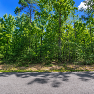 TAKE A ONE MINUTE WALK TO THE LAKE & DISCOVER GREERS FERRY LAKE PROPERTY WITH UTILITEIS IN VAN BUREN ARKANSAS!  Crystal-Clear Water • Ozark Scenery • Endless Adventure  Welcome to Greers Ferry Lake, one of Arkansas’s most beautiful outdoor destinations. Known for its clear blue water, scenic shoreline, wooded hills, and year-round recreation, the lake is perfect for boating, fishing, swimming, kayaking, hiking, camping, and relaxing by the water.  .41 ACRES -APN: 4350-06013-0000