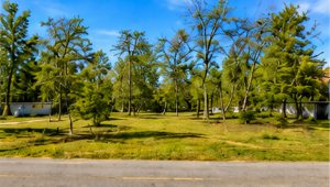 AMAZING RESIDENTIAL LOT IN HAMBURG, ARKANSAS!  Ready for Your Next Home or Investment • Utilities at the Road • Great Road Frontage • Affordable Southern Living: APN 705-01437-000