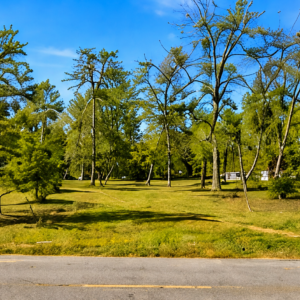 AMAZING RESIDENTIAL LOT IN HAMBURG, ARKANSAS!  Ready for Your Next Home or Investment • Utilities at the Road • Great Road Frontage • Affordable Southern Living: APN 705-01437-000