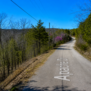 SPECIAL OPPORTUNITY RARE DOUBLE LOT IN HOLIDAY ISLAND, ARKANSAS — LAKE LIVING, GOLF & OZARK BEAUTY!  Two adjoining lots available with road access, power and water — ready for your future home, vacation getaway, or investment! The county appraised each lot at $15,000.00! APN: 320-03816-000 /17