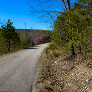 SPECIAL OPPORTUNITY RARE DOUBLE LOT IN HOLIDAY ISLAND, ARKANSAS — LAKE LIVING, GOLF & OZARK BEAUTY!  Two adjoining lots available with road access, power and water — ready for your future home, vacation getaway, or investment! The county appraised each lot at $15,000.00! APN: 320-03816-000 /17