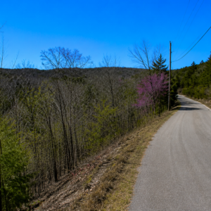 SPECIAL OPPORTUNITY RARE DOUBLE LOT IN HOLIDAY ISLAND, ARKANSAS — LAKE LIVING, GOLF & OZARK BEAUTY!  Two adjoining lots available with road access, power and water — ready for your future home, vacation getaway, or investment! The county appraised each lot at $15,000.00! APN: 320-03816-000 /17