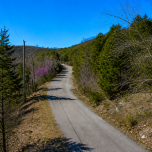 28,000 SQ FEET AVAILABLE * RARE DOUBLE LOT IN HOLIDAY ISLAND, ARKANSAS — LAKE LIVING, GOLF & OZARK BEAUTY!  Two adjoining lots available with road access, power and water — ready for your future home, vacation getaway, or investment! The county appraised each lot at $15,000.00! APN: 320-03612-000/13