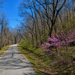 28,000 SQ FEET AVAILABLE * RARE DOUBLE LOT IN HOLIDAY ISLAND, ARKANSAS — LAKE LIVING, GOLF & OZARK BEAUTY!  Two adjoining lots available with road access, power and water — ready for your future home, vacation getaway, or investment! The county appraised each lot at $15,000.00! APN: 320-03612-000/13