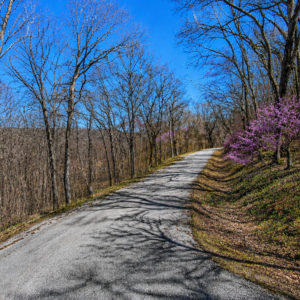 28,000 SQ FEET AVAILABLE * RARE DOUBLE LOT IN HOLIDAY ISLAND, ARKANSAS — LAKE LIVING, GOLF & OZARK BEAUTY!  Two adjoining lots available with road access, power and water — ready for your future home, vacation getaway, or investment! The county appraised each lot at $15,000.00! APN: 320-03612-000/13