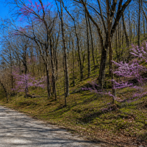 28,000 SQ FEET AVAILABLE * RARE DOUBLE LOT IN HOLIDAY ISLAND, ARKANSAS — LAKE LIVING, GOLF & OZARK BEAUTY!  Two adjoining lots available with road access, power and water — ready for your future home, vacation getaway, or investment! The county appraised each lot at $15,000.00! APN: 320-03612-000/13