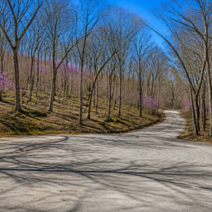 28,000 SQ FEET AVAILABLE * RARE DOUBLE LOT IN HOLIDAY ISLAND, ARKANSAS — LAKE LIVING, GOLF & OZARK BEAUTY!  Two adjoining lots available with road access, power and water — ready for your future home, vacation getaway, or investment! The county appraised each lot at $15,000.00! APN: 320-03612-000/13