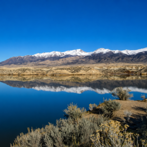 241 Acres in Legendary Nevada Gold Country – Surrounded by BLM Land!  Gold Mining is Back! Own an incredible 241-acre property in the heart of Nevada's legendary gold country, where history, adventure, and opportunity come together. Nestled near Creek Hill and surrounded by vast Bureau of Land Management (BLM) land