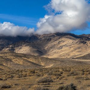 241 Acres in Legendary Nevada Gold Country – Surrounded by BLM Land!  Gold Mining is Back! Own an incredible 241-acre property in the heart of Nevada's legendary gold country, where history, adventure, and opportunity come together. Nestled near Creek Hill and surrounded by vast Bureau of Land Management (BLM) land