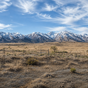 241 Acres in Legendary Nevada Gold Country – Surrounded by BLM Land!  Gold Mining is Back! Own an incredible 241-acre property in the heart of Nevada's legendary gold country, where history, adventure, and opportunity come together. Nestled near Creek Hill and surrounded by vast Bureau of Land Management (BLM) land