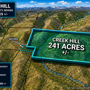 241 Acres in Legendary Nevada Gold Country – Surrounded by BLM Land!  Gold Mining is Back! Own an incredible 241-acre property in the heart of Nevada's legendary gold country, where history, adventure, and opportunity come together. Nestled near Creek Hill and surrounded by vast Bureau of Land Management (BLM) land