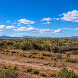 40 Acres of Colorado Freedom in the Spectacular San Luis Valley! Escape the crowds and own your own 40-acre Colorado ranch with breathtaking mountain views, endless possibilities, and true freedom! Shipping Container Included • Corner Parcel • No HOA • No Restrictions