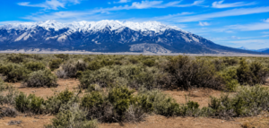 40 Acres of Colorado Freedom in the Spectacular San Luis Valley! Escape the crowds and own your own 40-acre Colorado ranch with breathtaking mountain views, endless possibilities, and true freedom! Shipping Container Included • Corner Parcel • No HOA • No Restrictions