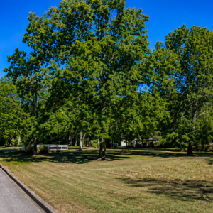 Arkansas Residential Property – Van Buren County — Flat Lot, Ready to Build, Power & Water, Close to the Lake APN: 4300-15204-0000