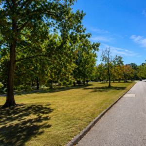 Arkansas Residential Property – Van Buren County — Flat Lot, Ready to Build, Power & Water, Close to the Lake APN: 4300-15204-0000