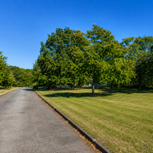Arkansas Residential Property – Van Buren County — Flat Lot, Ready to Build, Power & Water, Close to the Lake APN: 4300-15204-0000