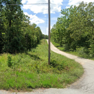 1 acre residential lot nestled near Hwy 175 and the serene shores of Lake Omaha, perfectly primed for constructing your dream home or placing a charming mobile home. Cherokee Village- Utilities at the property and road frontage: APN: 270-16380-000