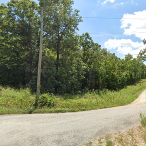 1 acre residential lot nestled near Hwy 175 and the serene shores of Lake Omaha, perfectly primed for constructing your dream home or placing a charming mobile home. Cherokee Village- Utilities at the property and road frontage: APN: 270-16380-000