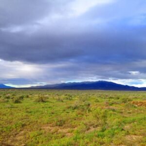 Rare Opportunity -80 Acres Zoned for A1, A2 and A3, -Farm, Agricultural, Ranch, & Residential! Seasonal Creek n the Property!  Borders 640 BLM Land* in Nevada Freedom in Lander County! Also- Boarder of Humboldt County! APN: 010-040-11