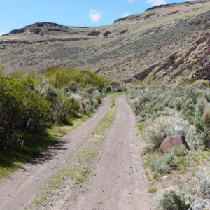 Gold Country Is Booming Again — Own 170 Acres of Nevada Freedom! Discover an extraordinary opportunity to own approximately 170 acres in Crescent Valley, Lander County, Nevada. This remarkable property consists of six adjoining parcels, giving you the flexibility to keep the entire acreage together, develop it over time, or hold the individual parcels as a long-term investment. Running Creek in Crescent Valley with majestic views!  APN: 007-640-05