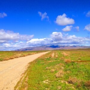 Rare Opportunity -80 Acres Zoned for A1, A2 and A3, -Farm, Agricultural, Ranch, & Residential! Seasonal Creek n the Property!  Borders 640 BLM Land* in Nevada Freedom in Lander County! Also- Boarder of Humboldt County! APN: 010-040-11