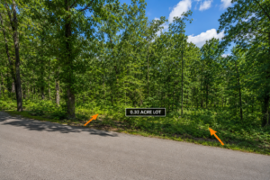 DISCOVER GREERS FERRY LAKE PROPERTY WITH UTILITEIS IN VAN BUREN ARKANSAS!  Crystal-Clear Water • Ozark Scenery • Endless Adventure  Welcome to Greers Ferry Lake, one of Arkansas’s most beautiful outdoor destinations. Known for its clear blue water, scenic shoreline, wooded hills, and year-round recreation, the lake is perfect for boating, fishing, swimming, kayaking, hiking, camping, and relaxing by the water.  APN:  4410-02042-0000