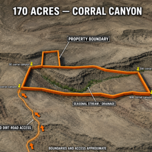 Gold Country Is Booming Again — Own 170 Acres of Nevada Freedom! Discover an extraordinary opportunity to own approximately 170 acres in Crescent Valley, Lander County, Nevada. This remarkable property consists of six adjoining parcels, giving you the flexibility to keep the entire acreage together, develop it over time, or hold the individual parcels as a long-term investment. Running Creek in Crescent Valley with majestic views!  APN: 007-640-05
