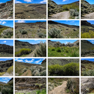 Gold Country Is Booming Again — Own 170 Acres of Nevada Freedom! Discover an extraordinary opportunity to own approximately 170 acres in Crescent Valley, Lander County, Nevada. This remarkable property consists of six adjoining parcels, giving you the flexibility to keep the entire acreage together, develop it over time, or hold the individual parcels as a long-term investment. Running Creek in Crescent Valley with majestic views!  APN: 007-640-05
