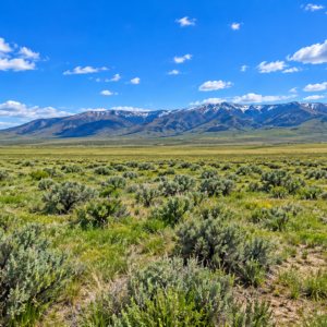 RARE 40.43-ACRE NEVADA PROPERTY Professionally Surveyed • Roads on Three Sides • Adjoins 640 Acres of BLM Land!  Amazing Views! The property is zoned A-3 Agricultural in Lander County, with residential use also permitted. APN:  007-220-90