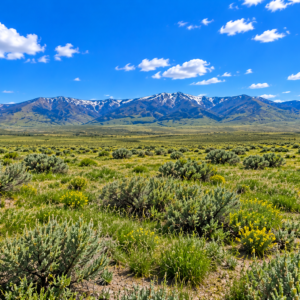 RARE 40.43-ACRE NEVADA PROPERTY Professionally Surveyed • Roads on Three Sides • Adjoins 640 Acres of BLM Land!  Amazing Views! The property is zoned A-3 Agricultural in Lander County, with residential use also permitted. APN:  007-220-90