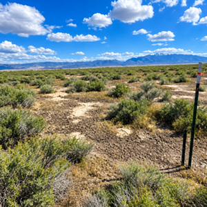 RARE 40.43-ACRE NEVADA PROPERTY Professionally Surveyed • Roads on Three Sides • Adjoins 640 Acres of BLM Land!  Amazing Views! The property is zoned A-3 Agricultural in Lander County, with residential use also permitted. APN:  007-220-90