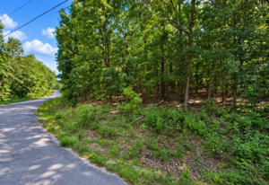 Greers Lake Residential Lot with power, water and walking distance to the lake!  APN: 4050-08041-0000