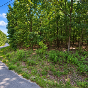Own the Ozark Lifestyle—Lakes, Golf and Natural Beauty in Cherokee Village!  Build your future near Lake Chanute and the Cherokee Village South Golf Course, surrounded by peaceful woodlands, outdoor recreation and small-town charm. APN: 230-14880-000