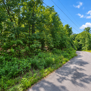Own the Ozark Lifestyle—Lakes, Golf and Natural Beauty in Cherokee Village!  Build your future near Lake Chanute and the Cherokee Village South Golf Course, surrounded by peaceful woodlands, outdoor recreation and small-town charm. APN: 230-14880-000